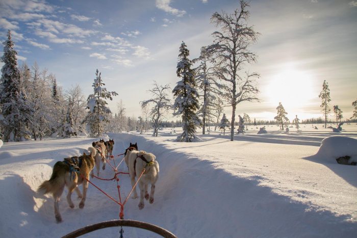 Finlandia – Trineos y Motos en Hossa y Ruka