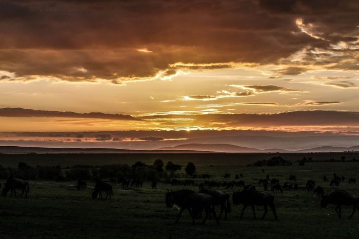 Kenya, Tanzània i Zanzíbar – Reserves i Platja